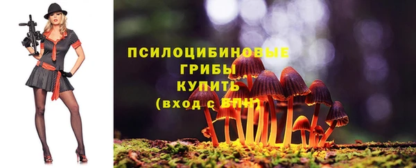тгк Арсеньев