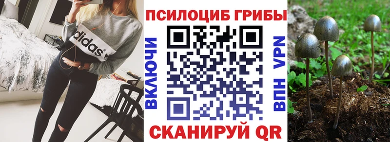 Псилоцибиновые грибы Psilocybine cubensis  сколько стоит  ссылка на мегу рабочий сайт  Дмитров 